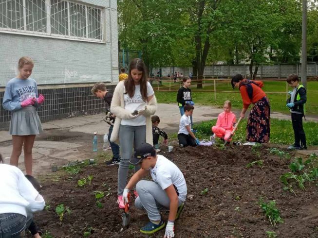 Учні 5-го класу реалізували проєкт з природознавства «Росток»